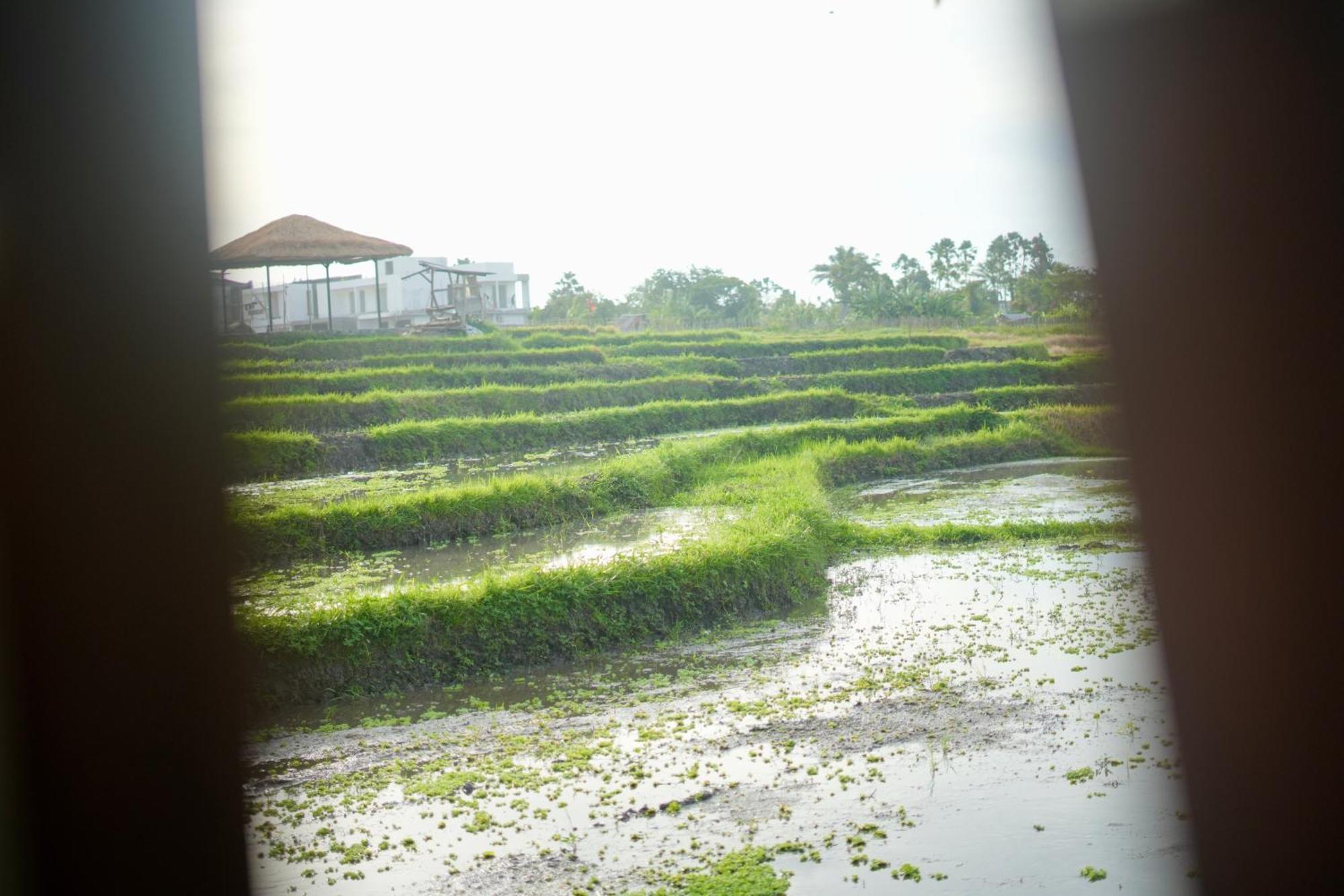 Villa In Seminyak Villa Mitra Dua Ricefield View Relax Kerobokan Exterior foto