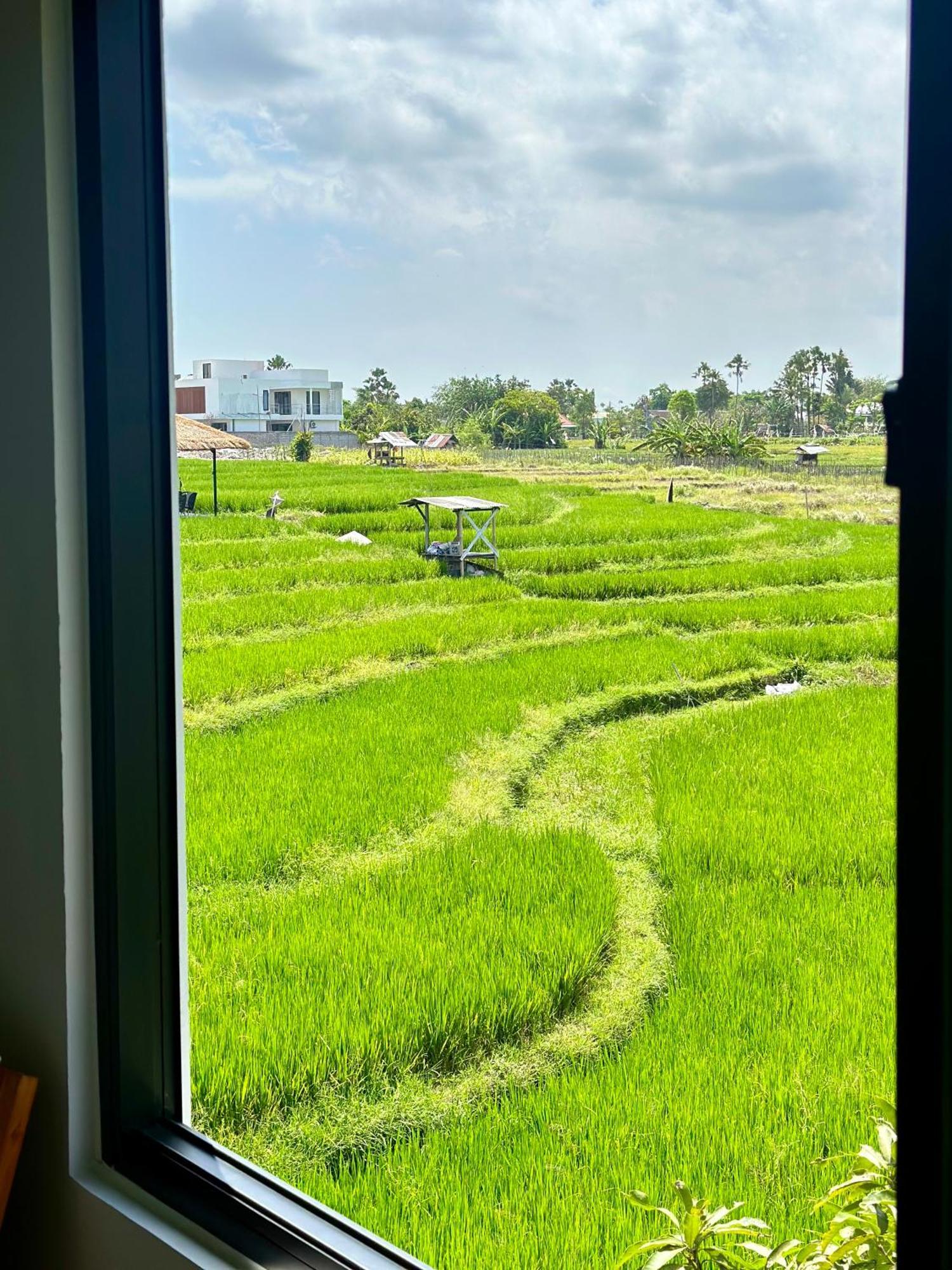 Villa In Seminyak Villa Mitra Dua Ricefield View Relax Kerobokan Exterior foto
